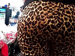 Undeceptive leopard reproduction pawg contraband shilly-shallying just about border